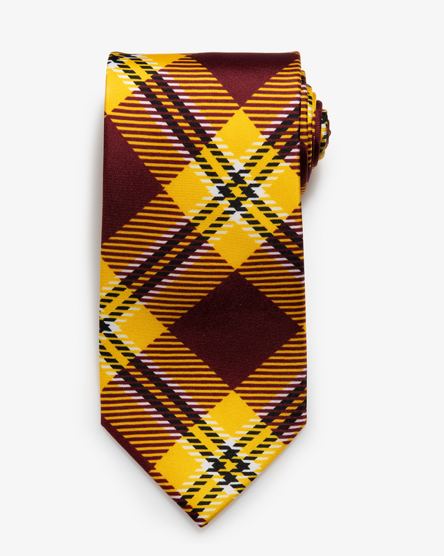 Central Michigan Tie