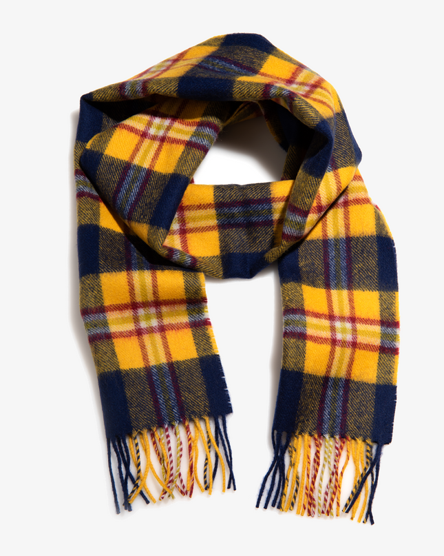 Drexel Cold Weather Scarf
