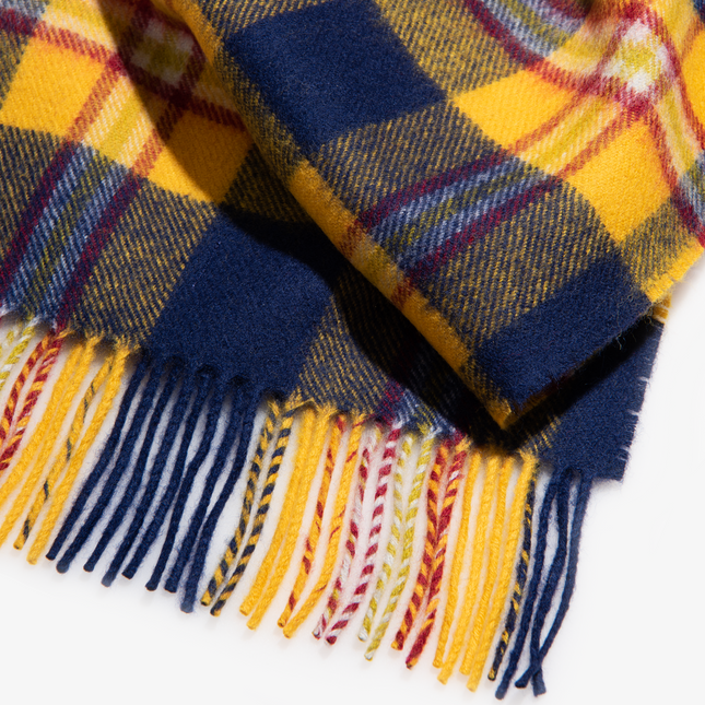 Drexel Cold Weather Scarf
