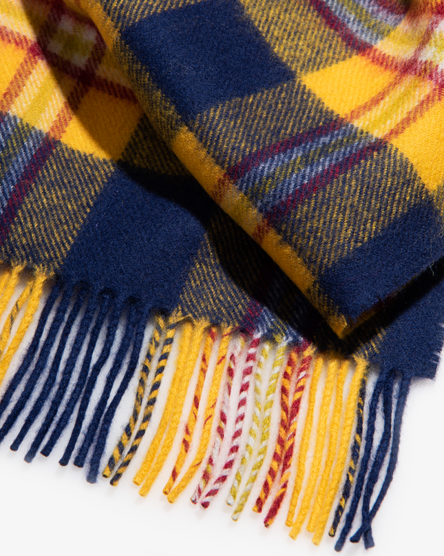 Drexel Cold Weather Scarf