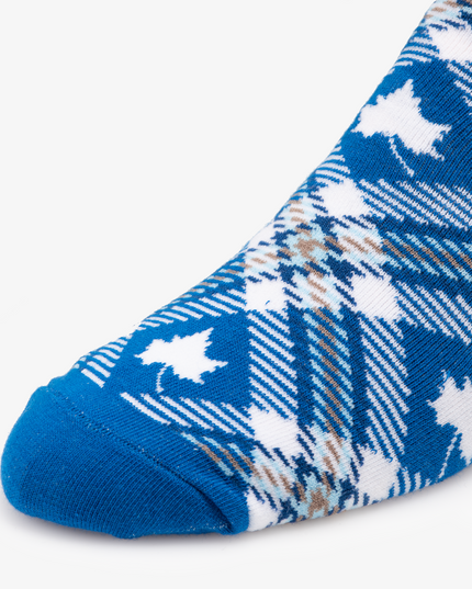 Indiana State Socks
