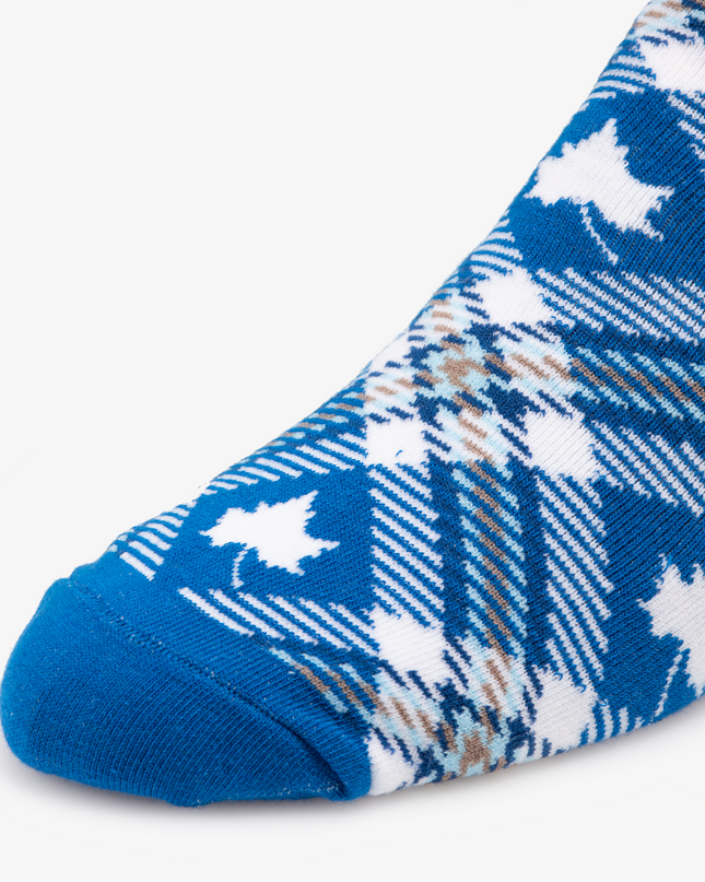 Indiana State Socks