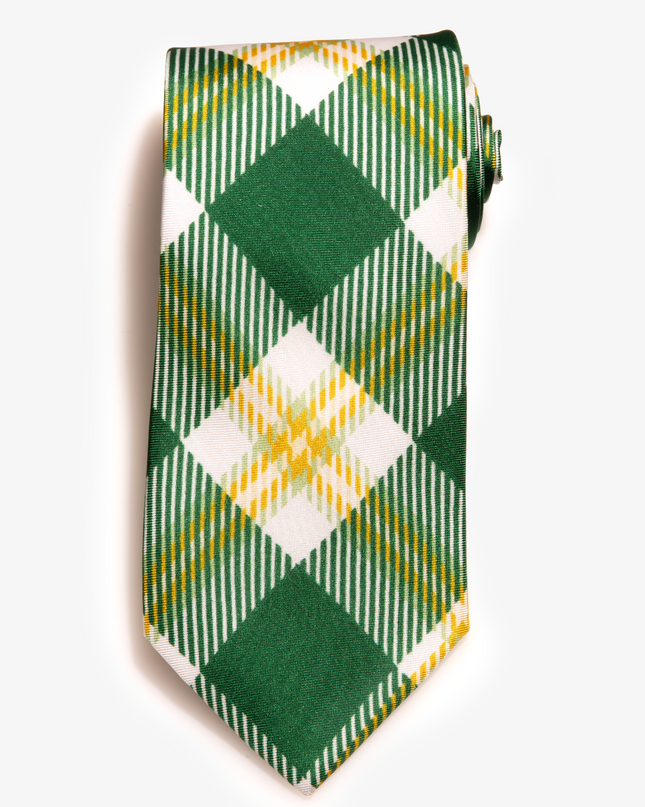 UNC Charlotte Tie
