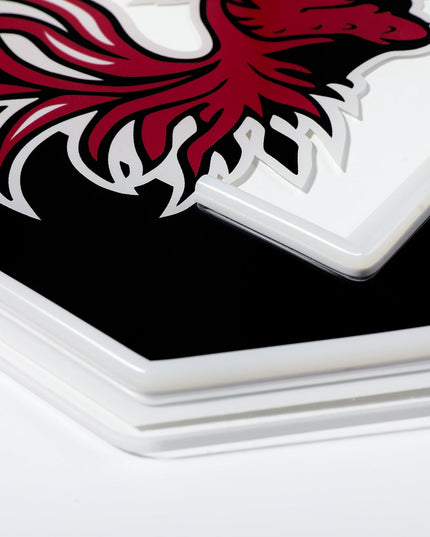 South Carolina Gamecocks LED Neon Sign