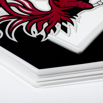 South Carolina Gamecocks LED Neon Sign