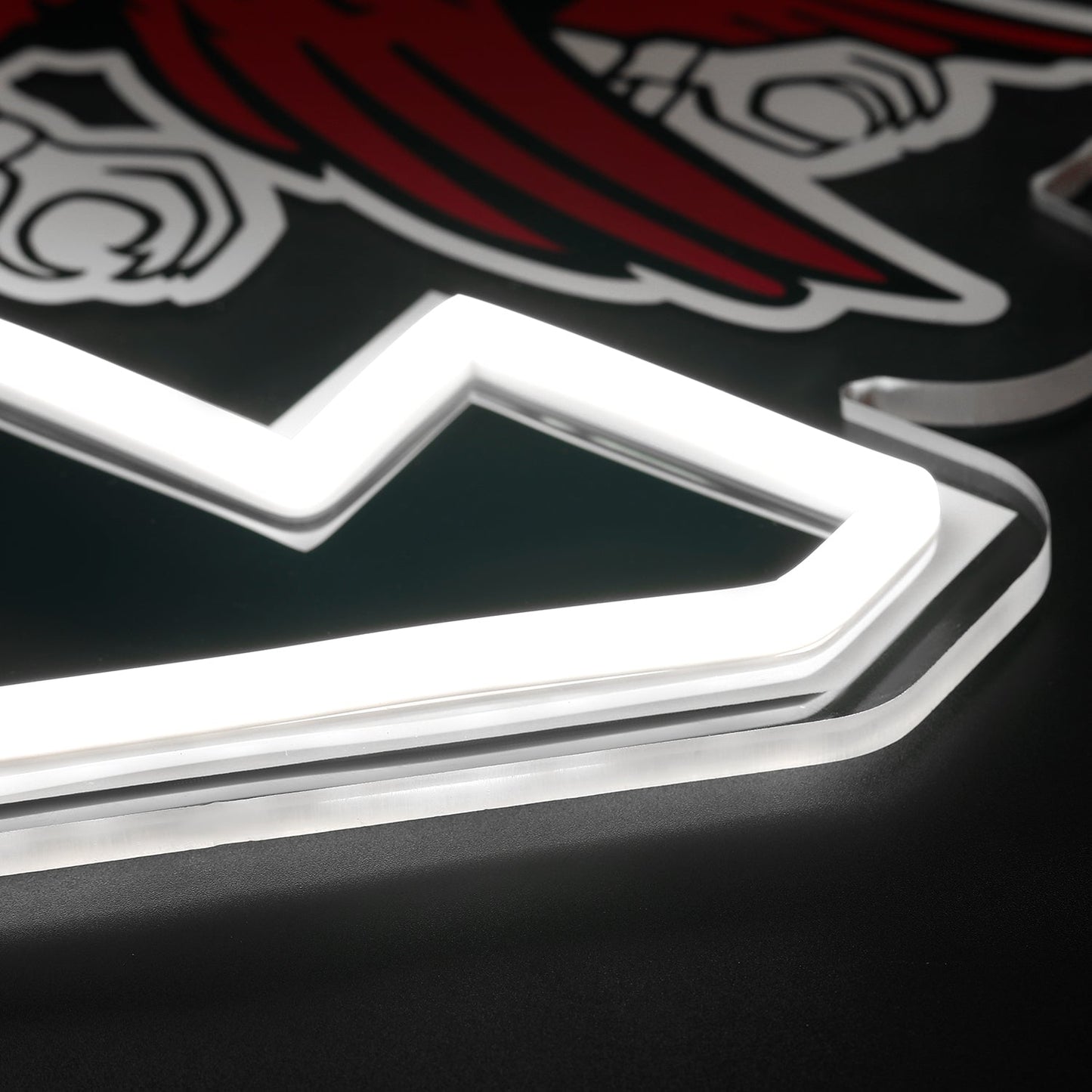 South Carolina Gamecocks LED Neon Sign