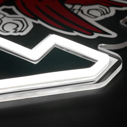 South Carolina Gamecocks LED Neon Sign