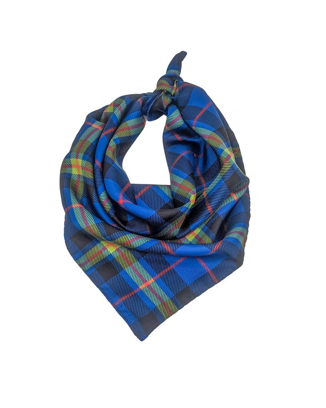 Notre Dame Handkerchief Scarf