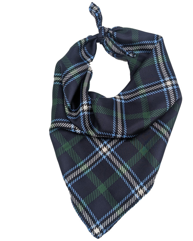 Utah State Handkerchief Scarf