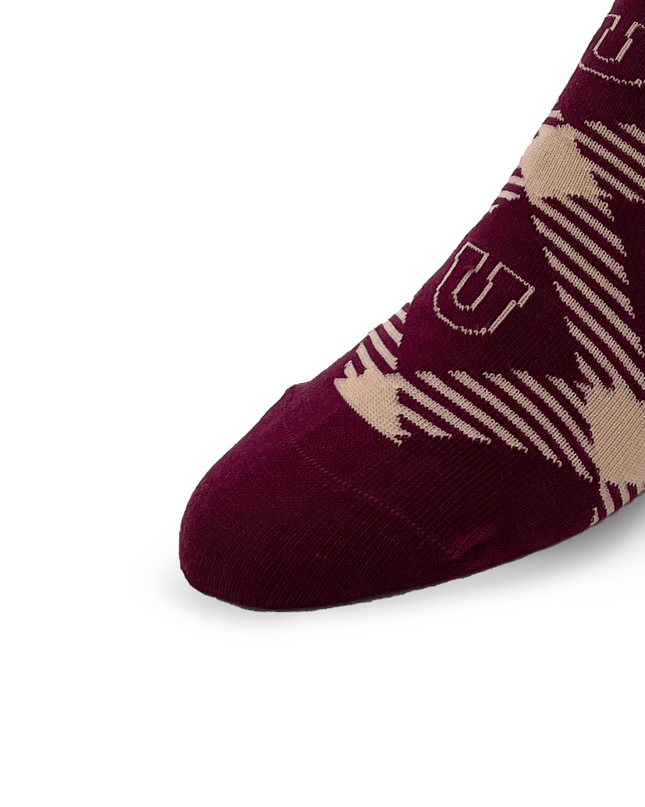 Union College Socks