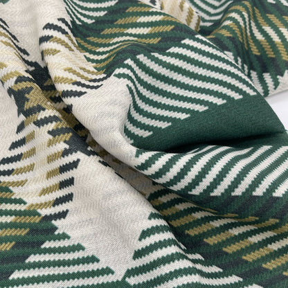UNC Charlotte Fashion Scarf