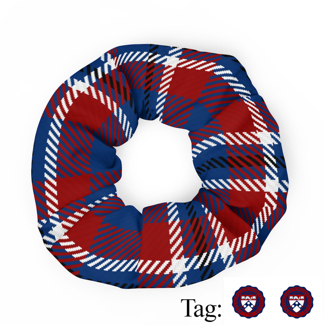 Penn Scrunchie