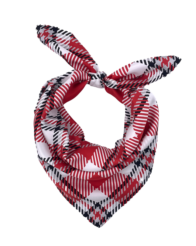 Wisconsin Handkerchief Scarf
