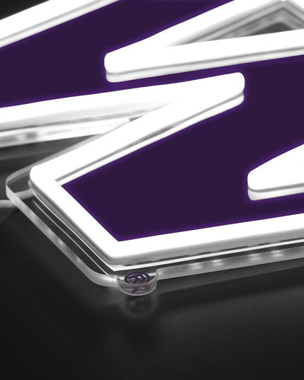 Washington Huskies LED Neon Sign