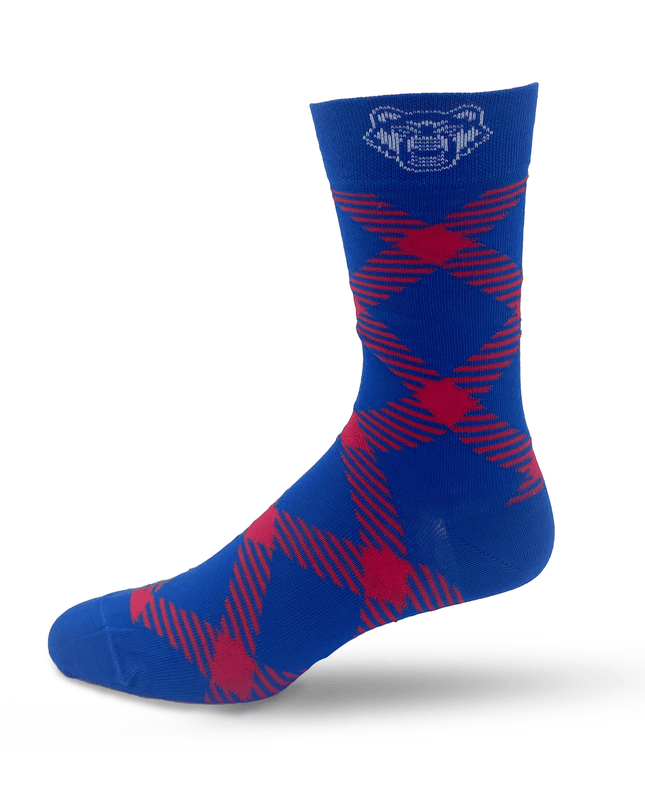 West Georgia Socks