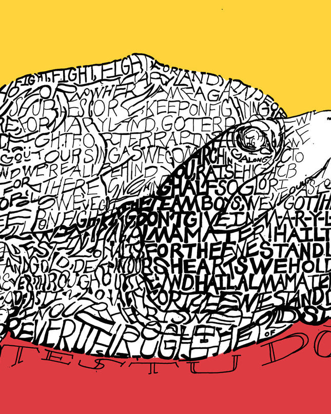 University of Maryland UMD Testudo turtle mascot art made of handwritten lyrics of the University of Maryland fight song.