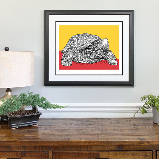 Maryland's Testudo - Fight Song